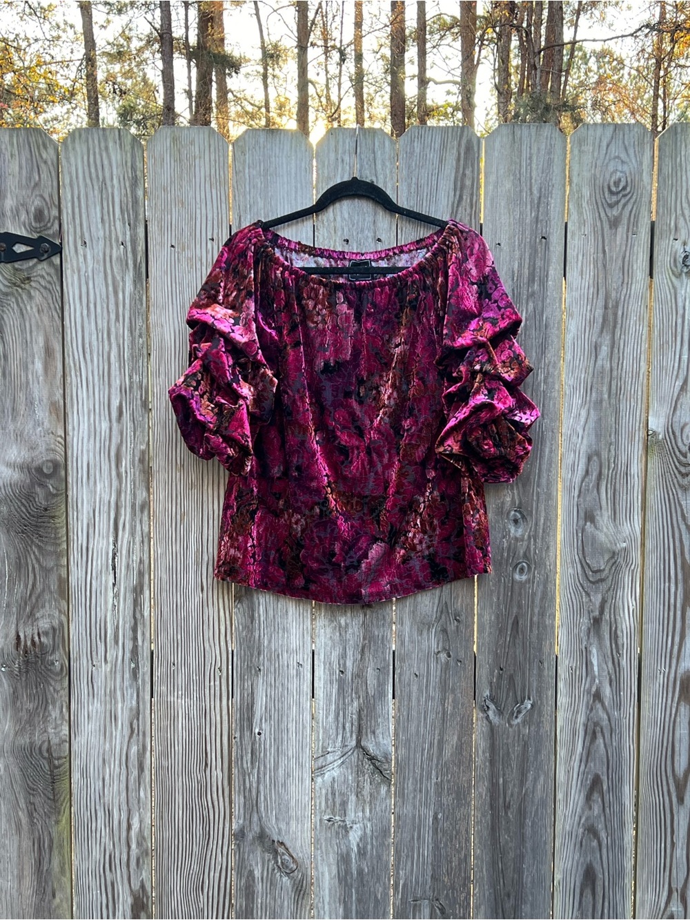 Coco Bianco Pink Ruffle Sleeve Blouse Burnout Velvet Top Women's Medium - Picture 2 of 10